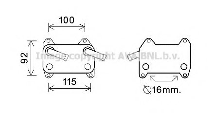 PRASCO VO3155 Oil Cooler, engine oil